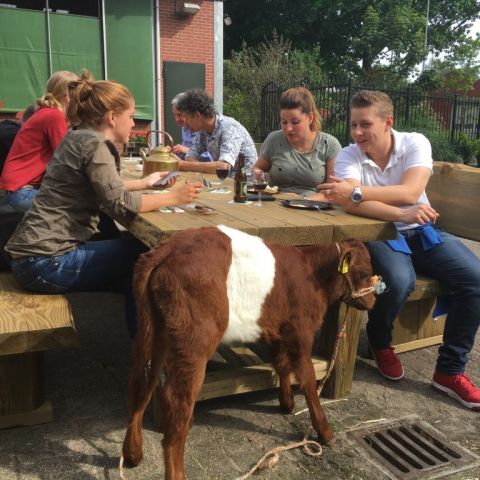 Puur Natuur Vleesdag